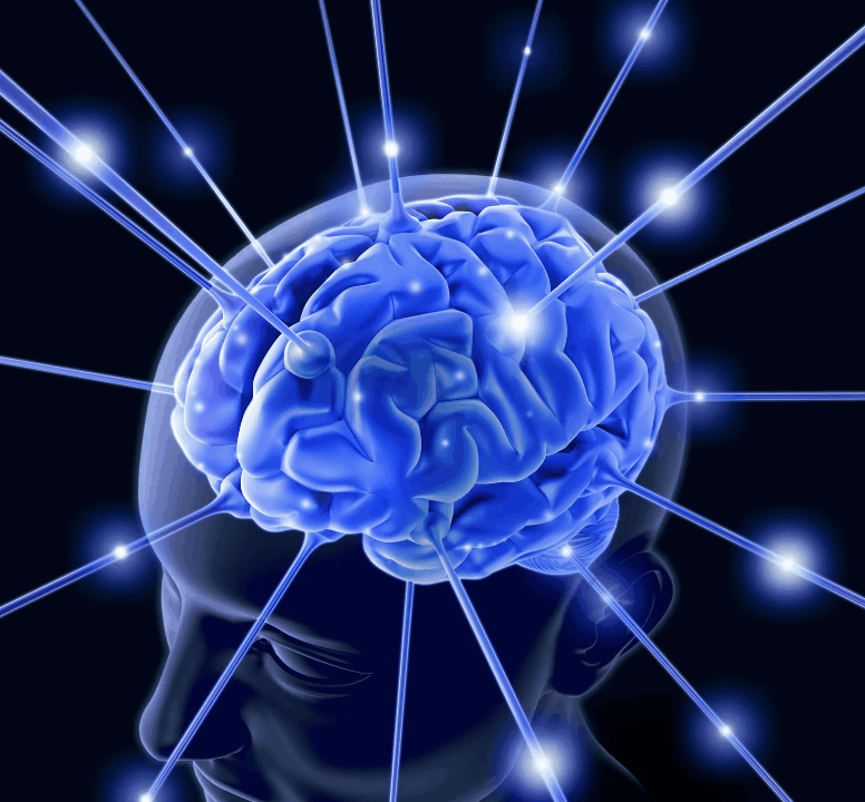 Flexible Mind Divine Guide to Leadership Margaret Jane Howe